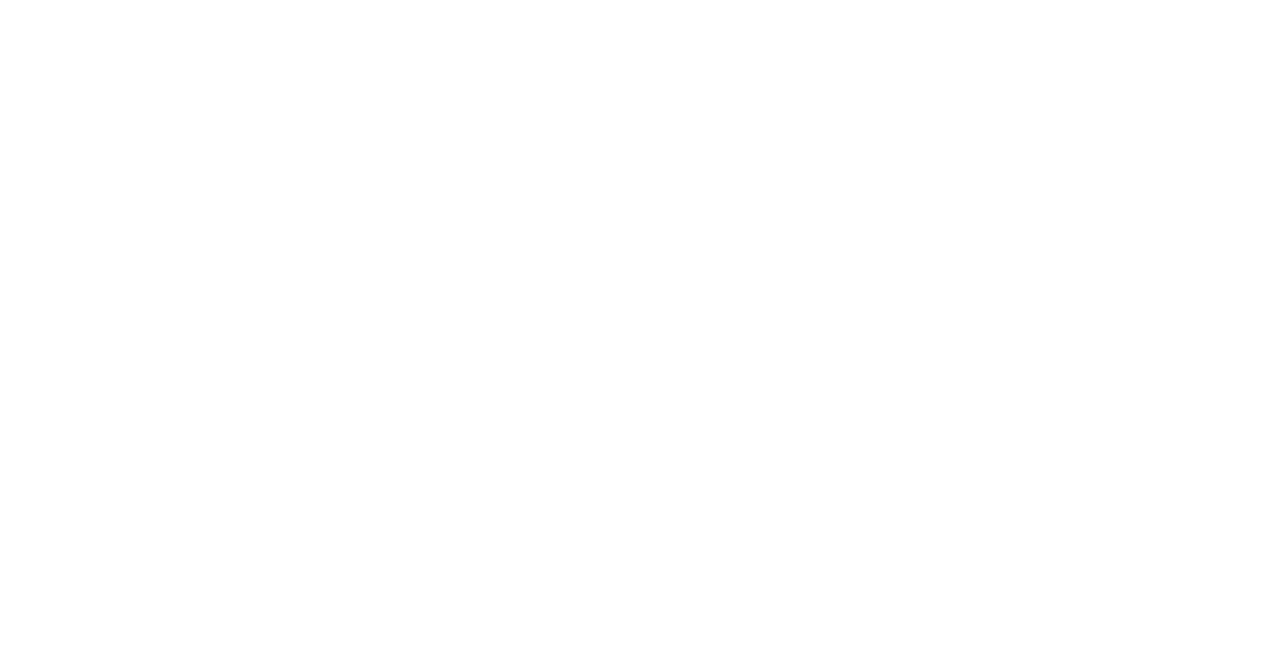 tapijn logo 4x 1